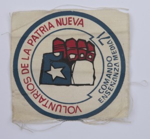 Voluntarios de la patria nueva