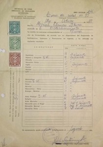 Calificaciones de Mónica Llanca